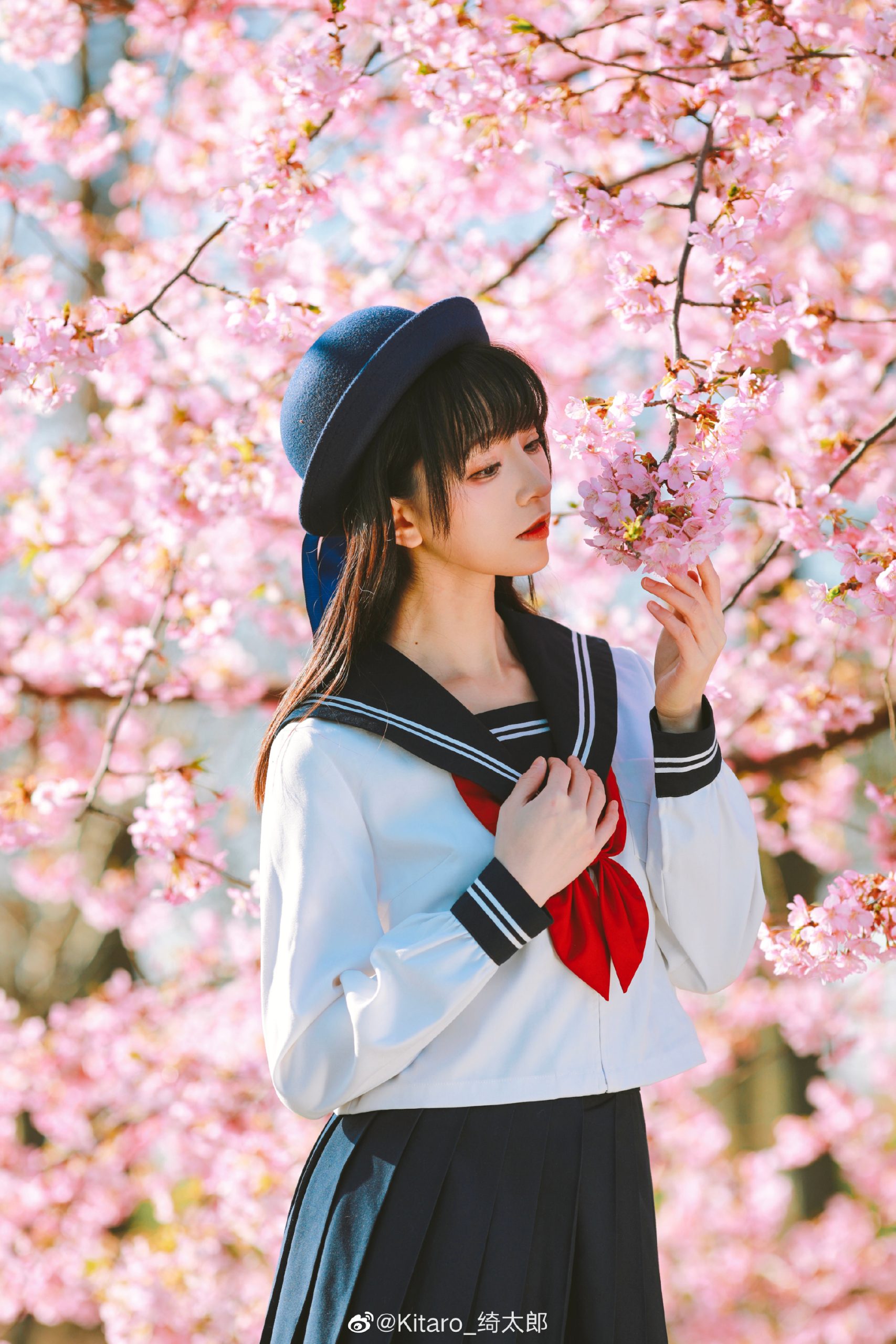 桜咲く🌸 又是一年花开@Kitaro_绮太郎-米哈社
