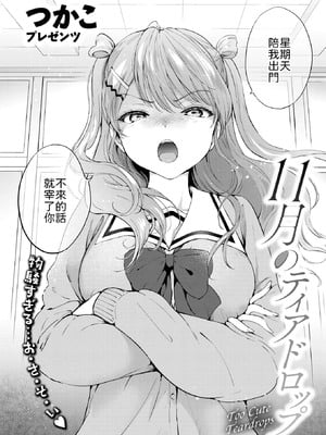 [つかこ] 11月のティアドロップ [中譯]-米哈社