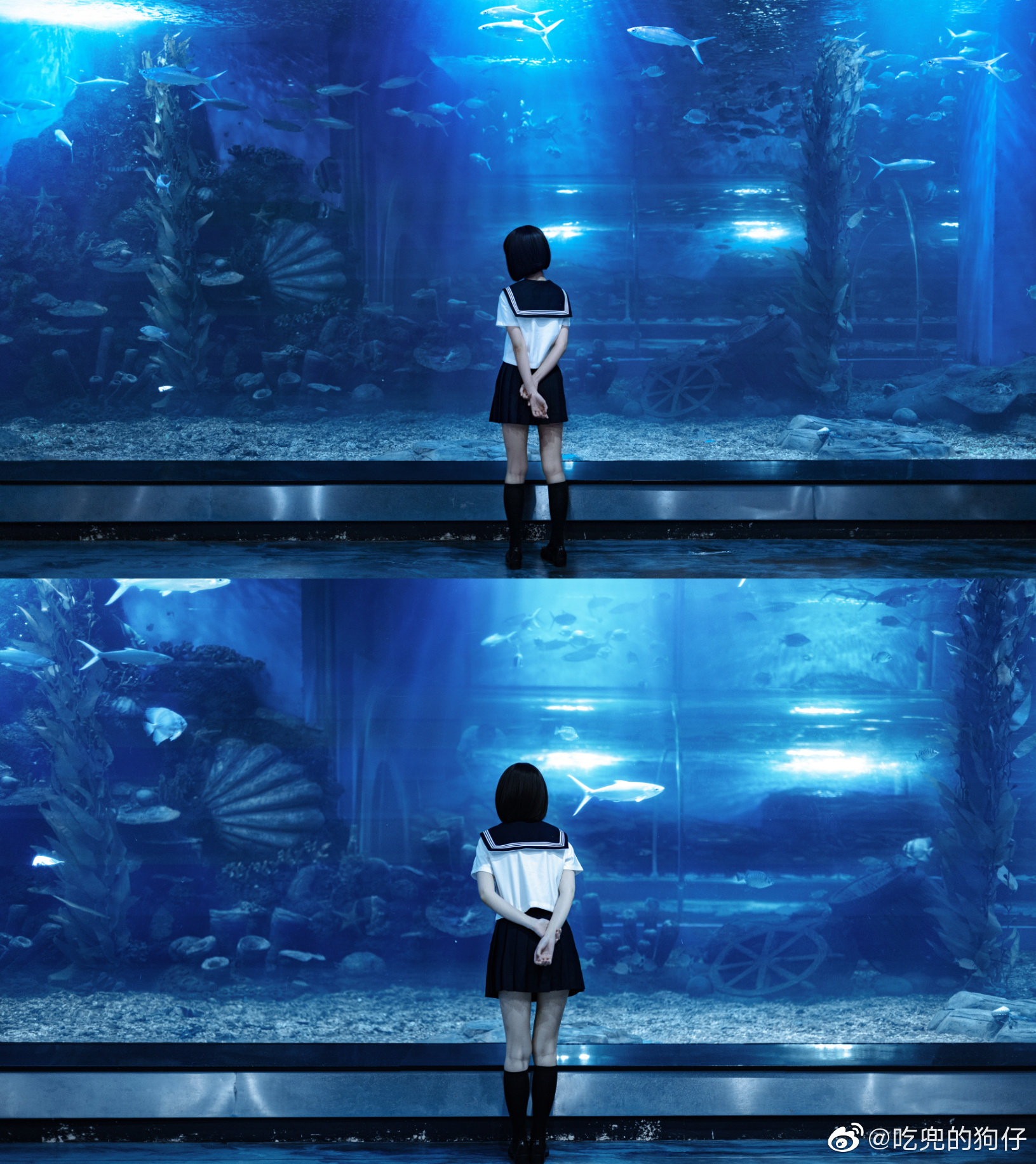 【JK制服】好想看你穿jk的样子 水族館@二茹Ruth-米哈社
