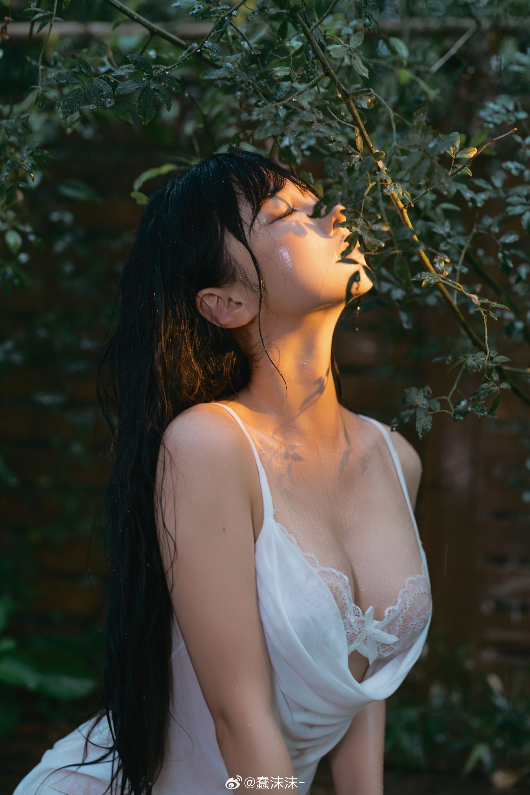 🌿《雨》🌿@蠢沫沫--米哈社