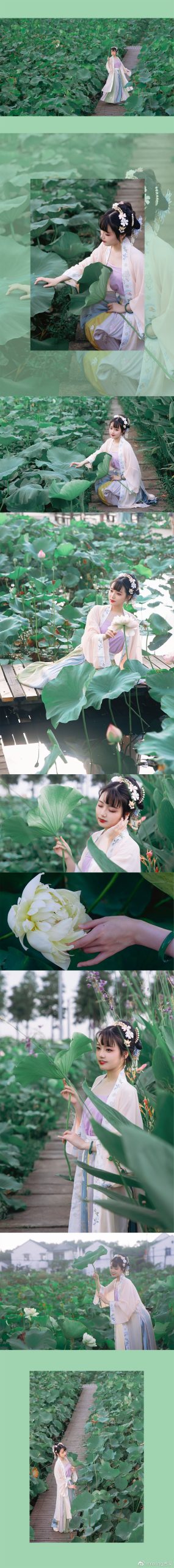 「叶上初阳干宿雨，水面清圆，一一风荷举」 @Yering言溪-米哈社